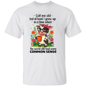 CALL ME OLD BUT AT LEAST I GREW UP IN A TIME WHEN THE WORLD STILL HAD SOME COMMON SENSE SHIRT